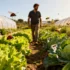 Smarter agriculture: Working with nature for integrated pest management - Professional coverage