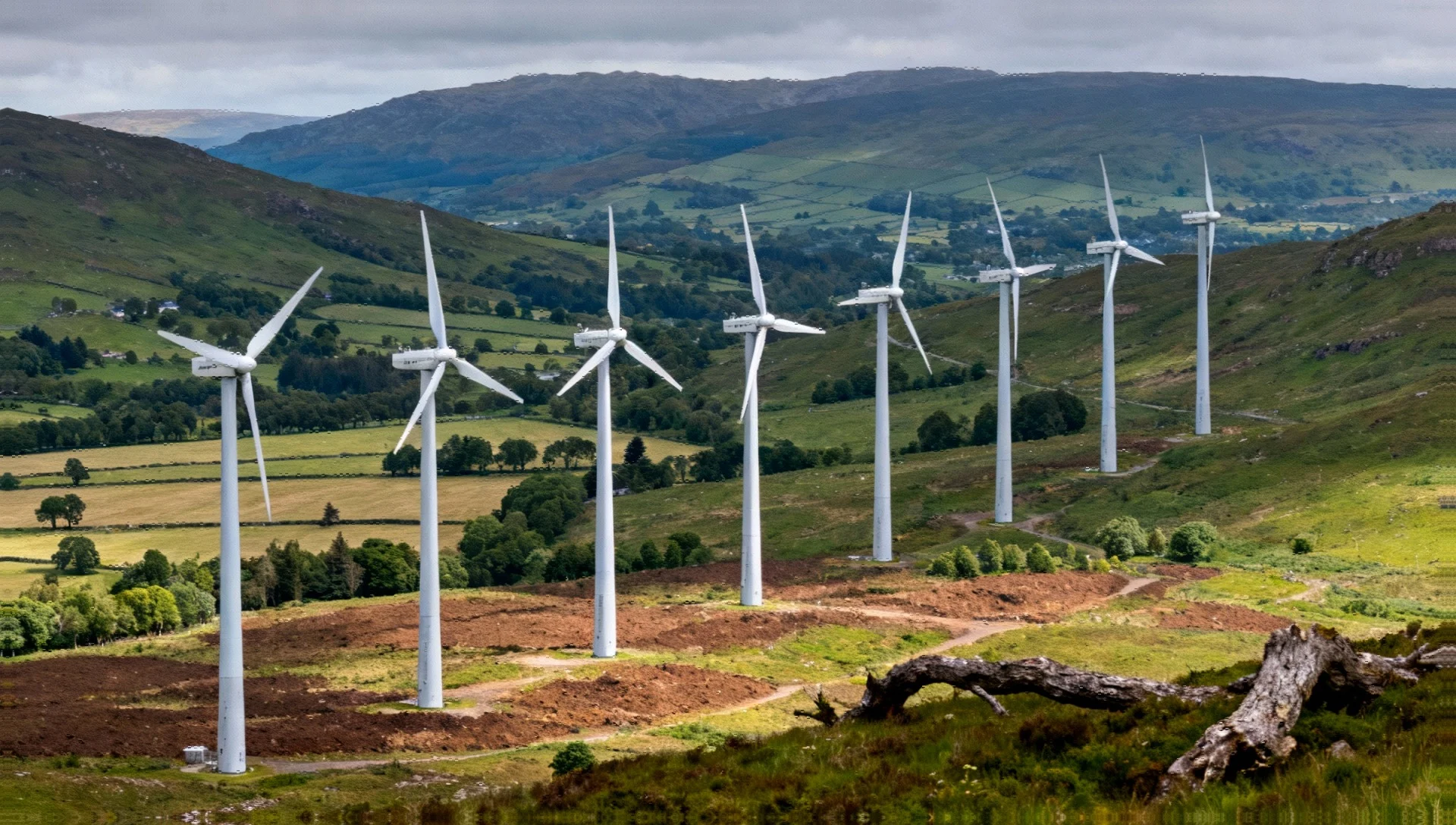 Corsock Renewable Energy Proposal Enters Third Appeal Phase Amid Community Debate - Professional coverage