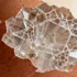 Pigeon Eggshells Reveal Evolutionary Blueprint for Advanced Biomimetic Materials