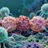 Breastfeeding Triggers Long-Term Immune Defense Against Aggressive Breast Cancers, Study Reveals
