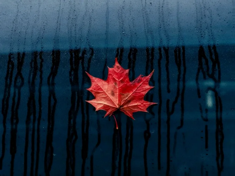 Beyond Tariffs: How Canadian Businesses Are Reinventing Operations Amid Trade Uncertainty