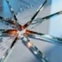 Ardagh’s $10 Billion Restructuring Faces Deutsche Bank Challenge Amid Bondholder Battle