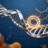 PCNA Orchestration: The Molecular Conductor of Cellular Replication and Genome Protection