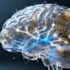 Advanced AI Model Achieves Breakthrough in Brain Tumor Detection Using MRI Scans