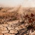 Global research shows how Dust Bowl-type drought causes unprecedented productivity loss