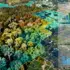 New Satellite Method Revolutionizes Forest Carbon Tracking