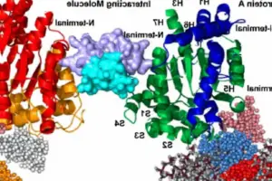 Cosmic Heartbeat: Blazar's 550-Day Gamma-Ray Pulse Challenges Black Hole Theories - Professional coverage